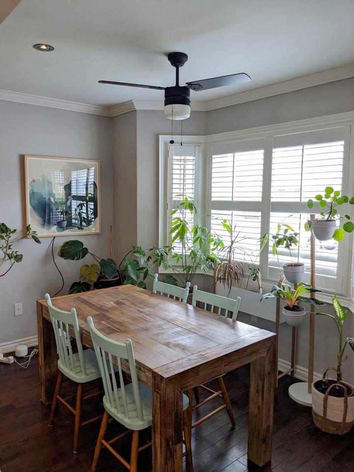 13 Speers Avenue - Photo 2 of 14