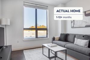 featured image of 245 Walnut St #1239