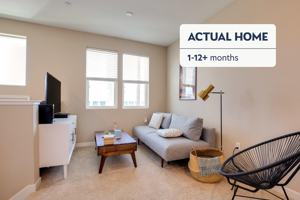 featured image of 1423 South Milpitas Boulevard #1639