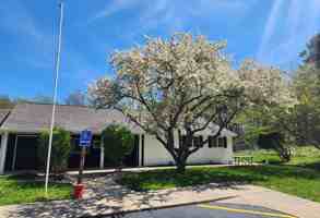 featured image of 3303 Maplewood Dr