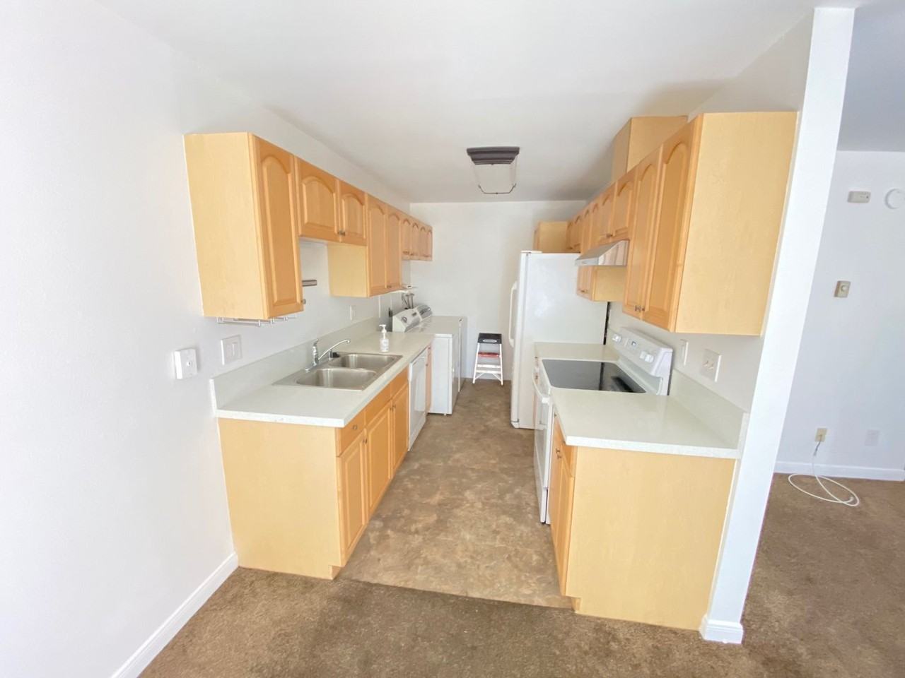 7863 Camino Tranquilo - Photo 2 of 19