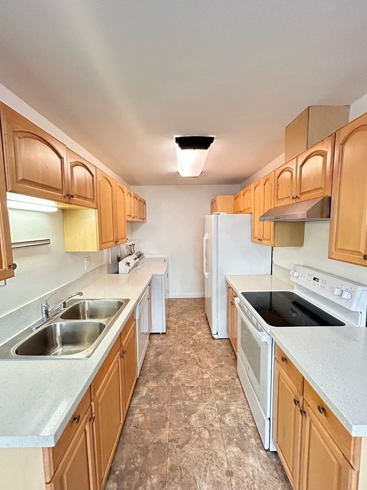 7863 Camino Tranquilo - Photo 6 of 19