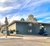 Large One - Photo 1 of 1