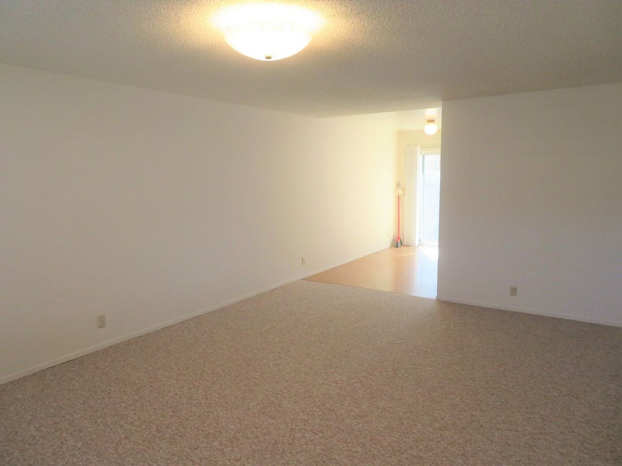 127 Lennox Street - Photo 3 of 13