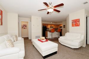 featured image of 1000 Hidden Chase