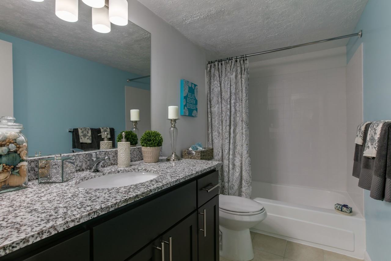 Steeplechase Apartment Homes - Photo 7 of 11