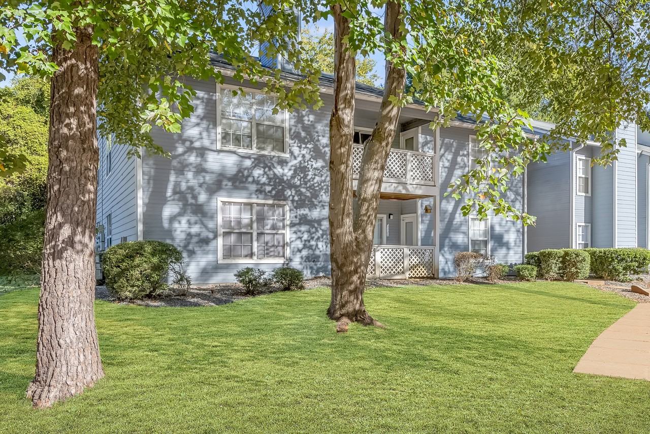 The Jade Charlotte - Photo 5 of 44