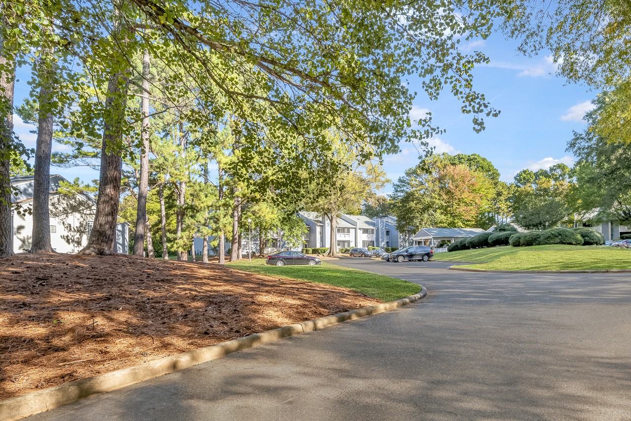 The Jade Charlotte - Photo 4 of 44