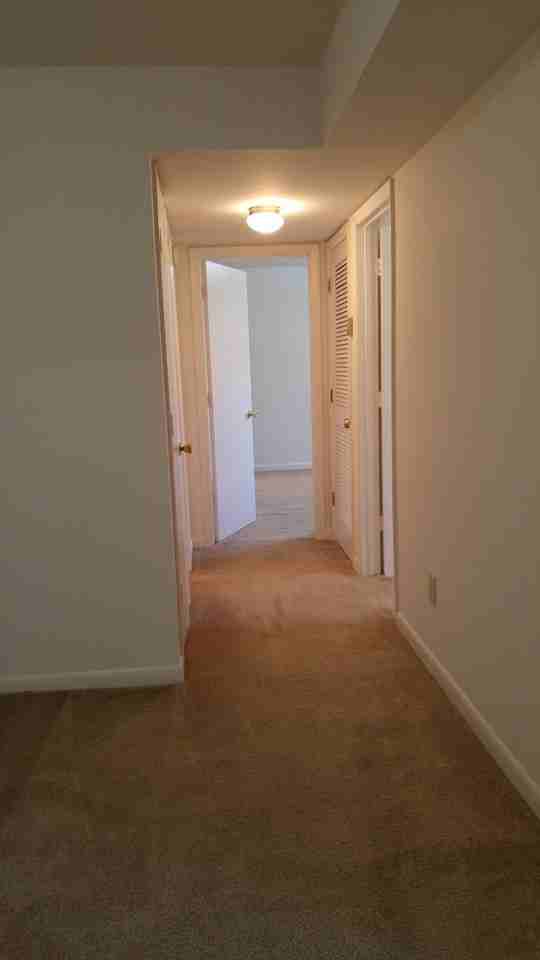 300 Alleghany - Photo 3 of 32