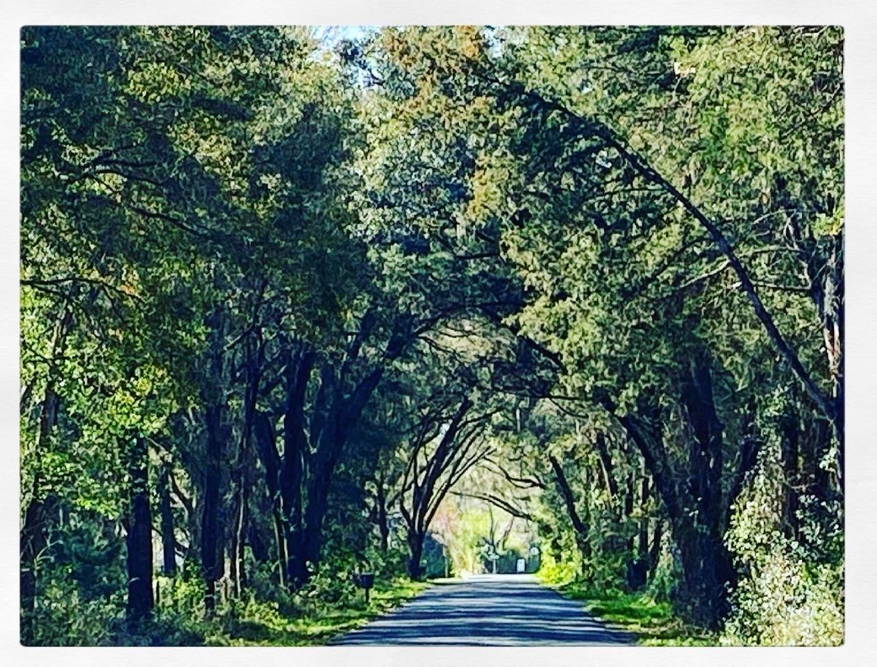 9350 Se 170th Avenue Rd #NA - Photo 2 of 50
