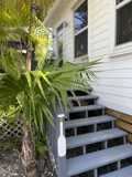2402 Flagler Ave #1 - Photo 1 of 1