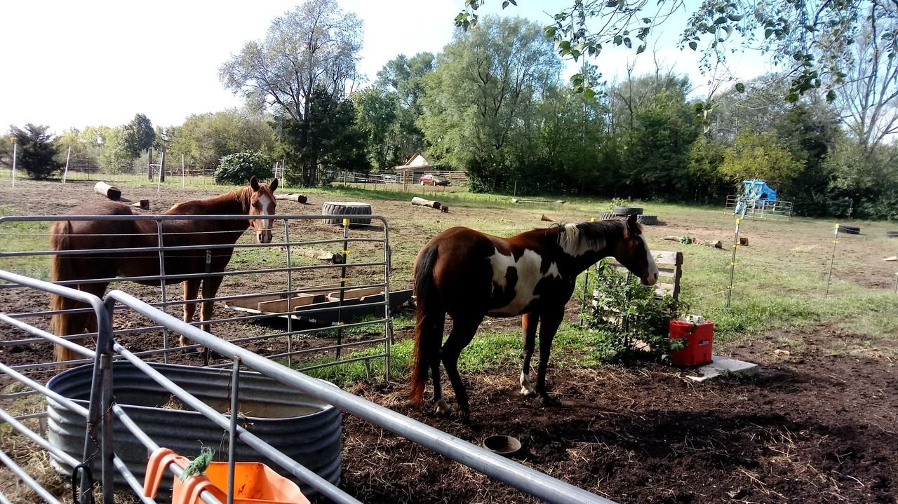 2043 Se 41st St - Photo 5 of 36