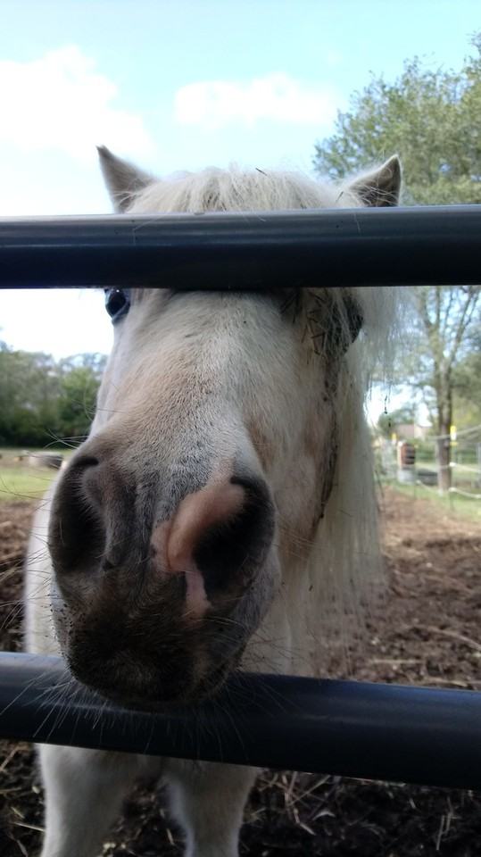 2043 Se 41st St - Photo 6 of 36