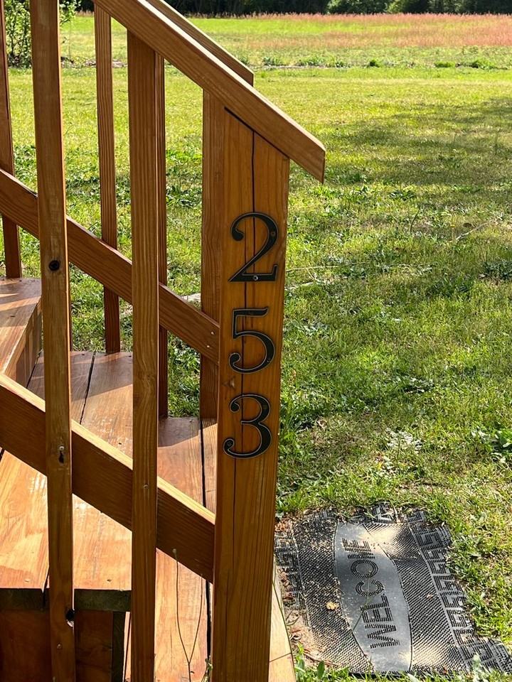 253 Chicken Ln - Photo 3 of 28