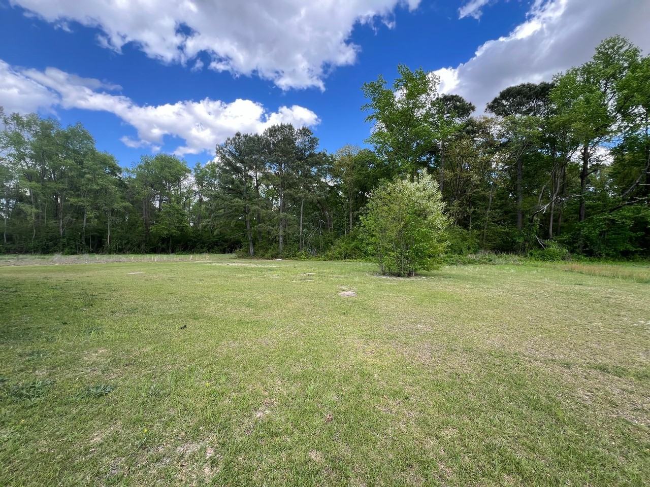 253 Chicken Ln - Photo 7 of 41