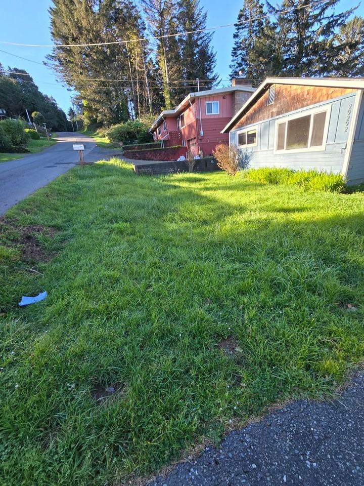 29292 Wallace St - Photo 3 of 12