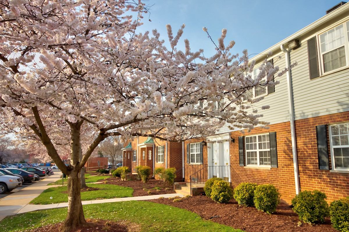 Kingsley Commons Townhouses - Photo 2 of 15