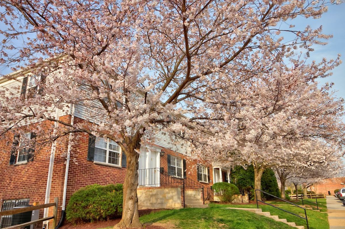 Kingsley Commons Townhouses - Photo 3 of 15