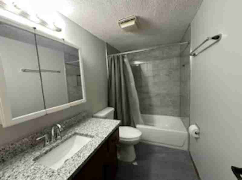 3617 Brush Creek Dr - Photo 3 of 21