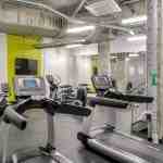 1750 Cedar - Photo 5 of 50