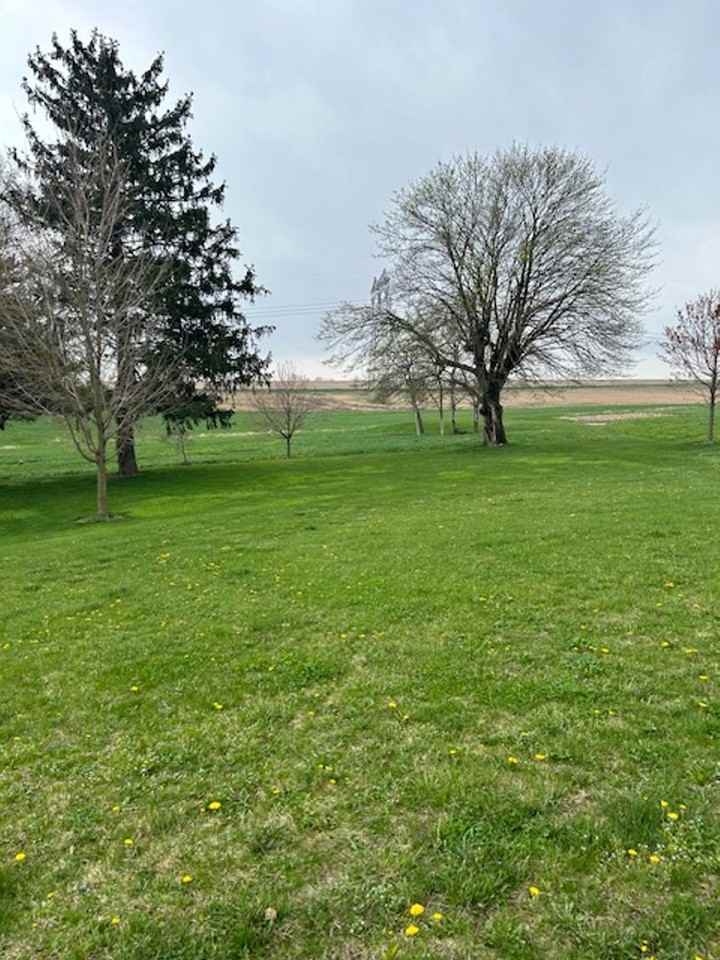 125 Blue Mountain Rd - Photo 3 of 25