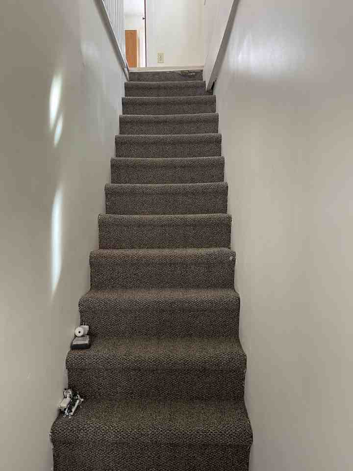 224 Saint Patrick Street #1 - Photo 2 of 18