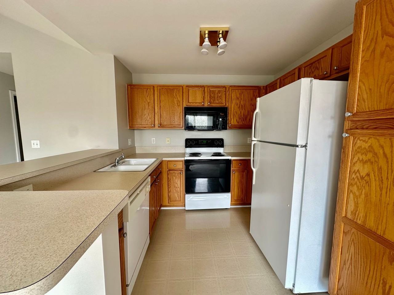 13153 Canopy Dr - Photo 6 of 15