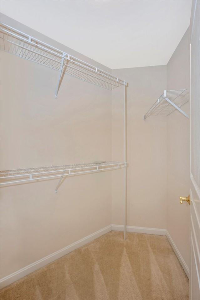 1816 Poolside Ln - Photo 3 of 50