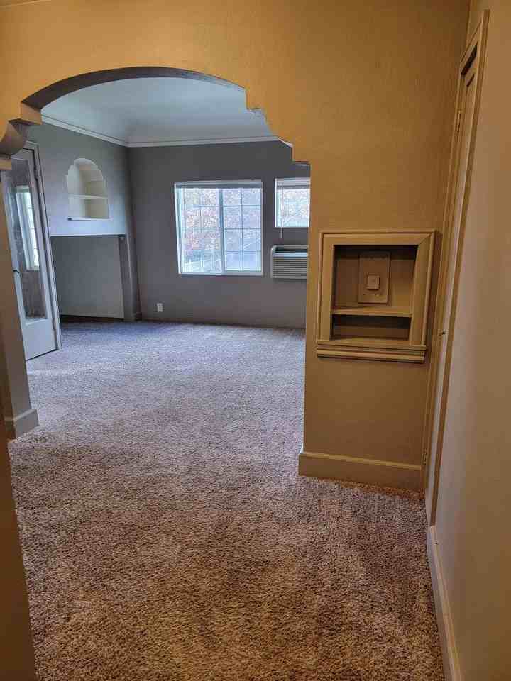 Han209 - Photo 6 of 8