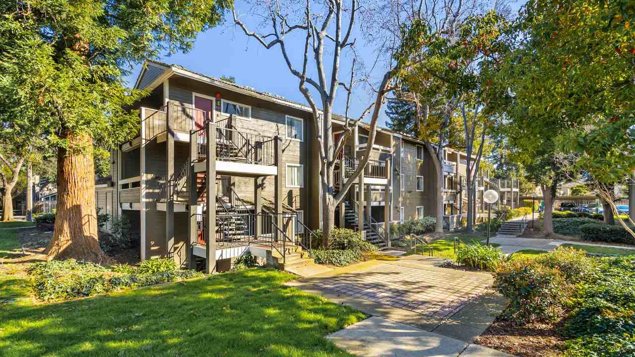 Woodleaf - Photo 4 of 38