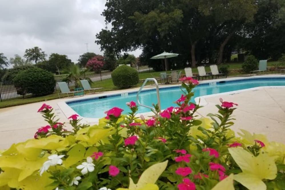 Hidden Valley - Photo 6 of 10