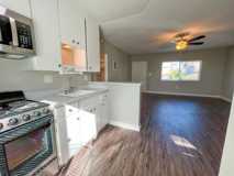 *1215 Hornblend - Photo 1 of 1
