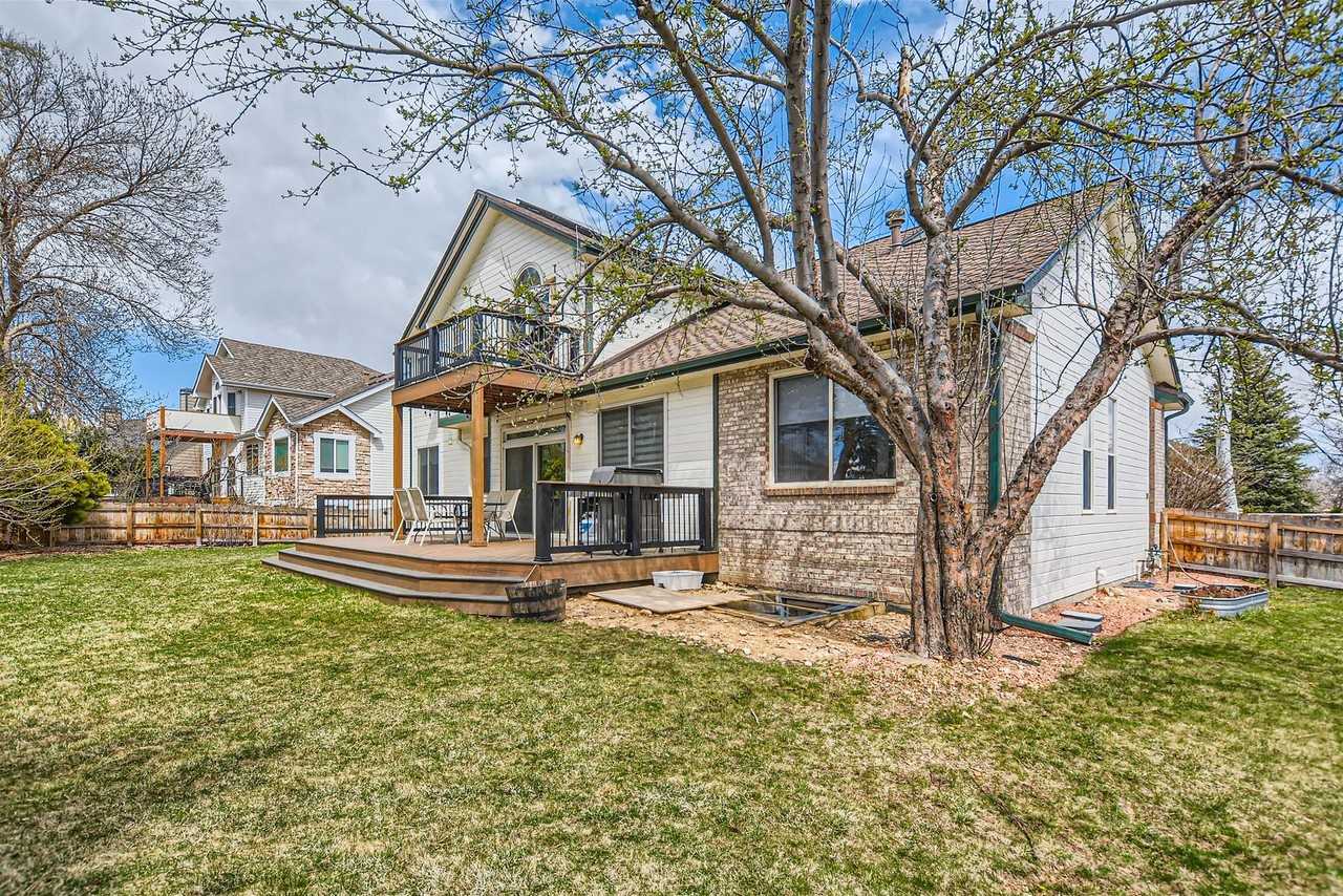 817 Mount Evans Ct - Photo 4 of 28
