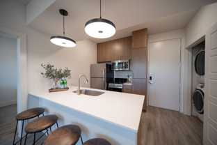 The Rosedale (Texas Wesleyan Student - Photo 1 of 1