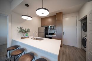 The Rosedale (Texas Wesleyan Student - Photo 1 of 1