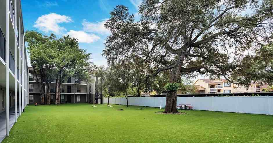 Promenade At Belleair Apartments - Photo 5 of 25