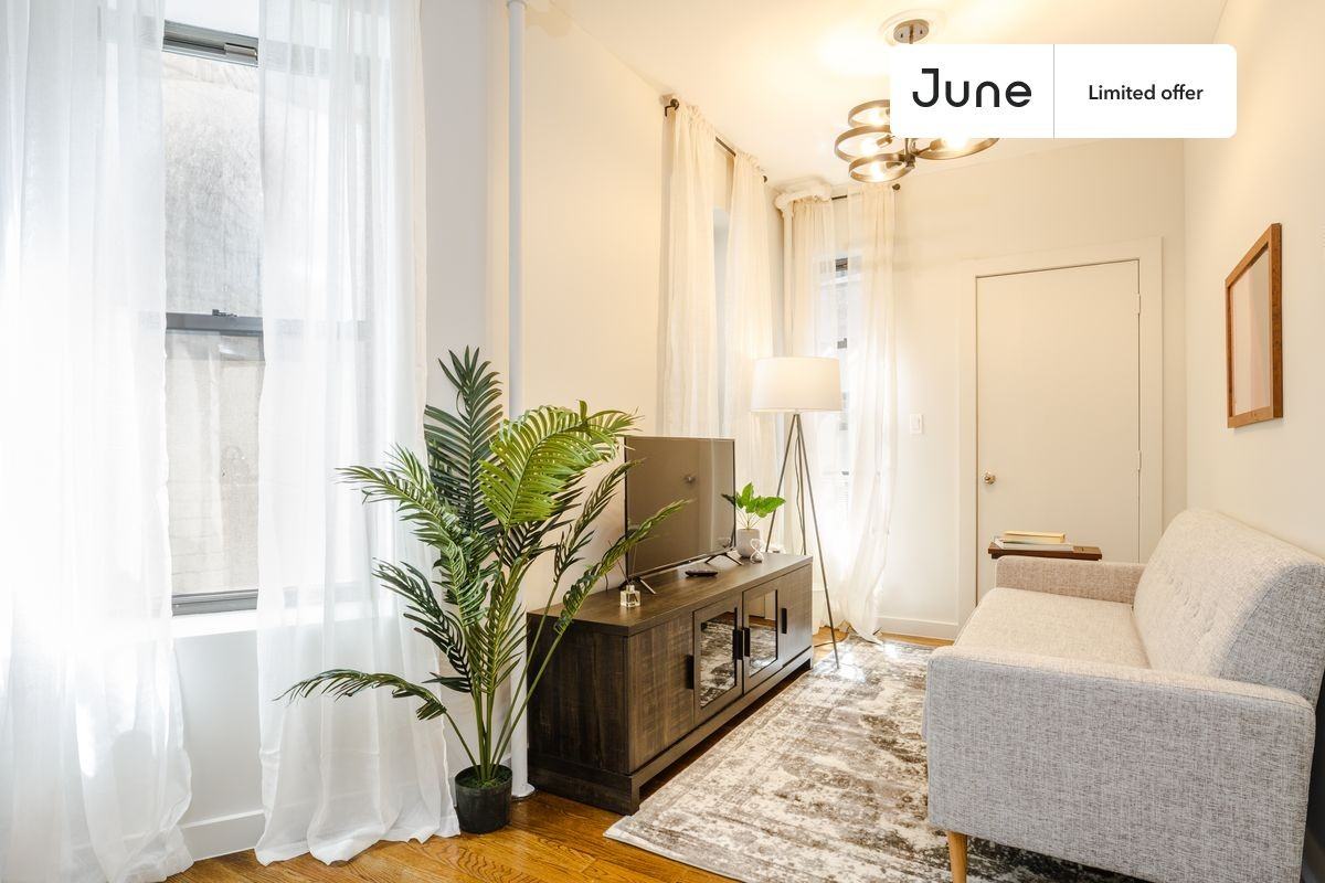 Monroe St 1A, New York, NY 10002 1 Bedroom Apartment for 2,725/month