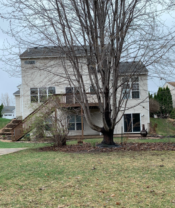 1569 Johnny Cake Alcove - Photo 3 of 24