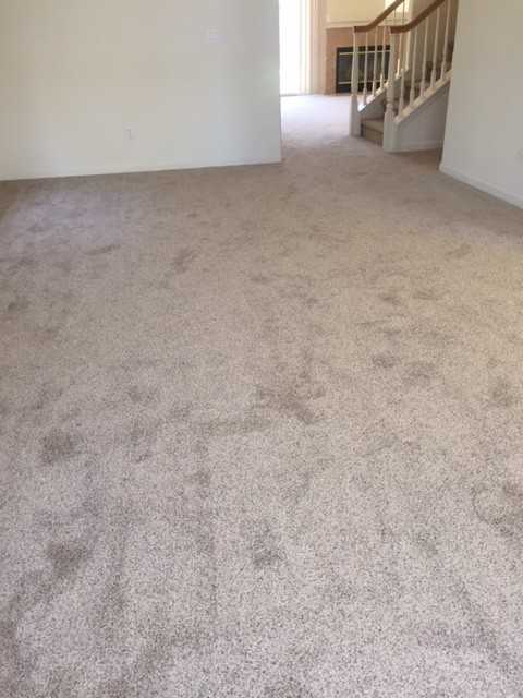 8022 Mammoth Dr #NA - Photo 4 of 24