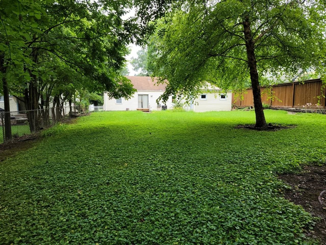 442 N Geyer Rd - Photo 2 of 11