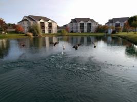 featured image of 1526 Oakfield Dr