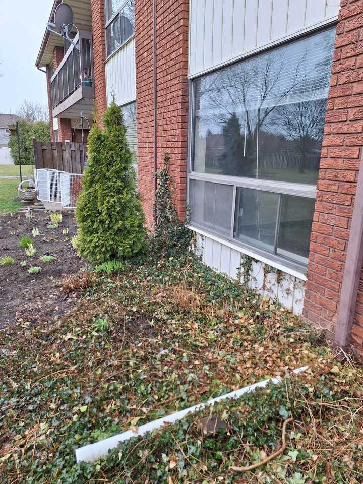 Elm Villa - Photo 2 of 5