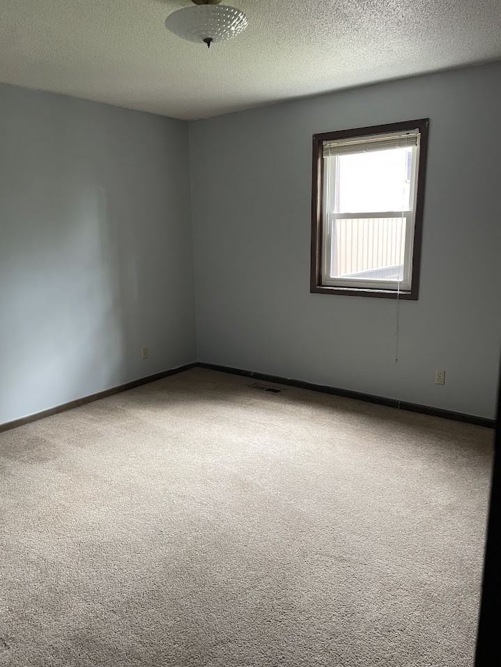 524 Breezy Point Drive - Photo 3 of 5