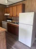 featured image of 101 Woods