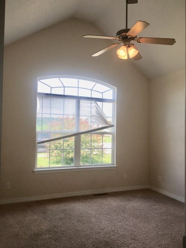 119 Birch Tree - Photo 6 of 12