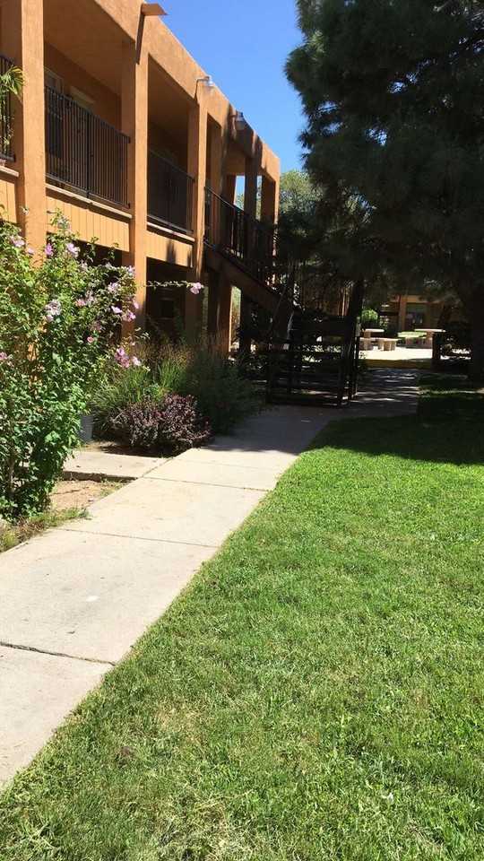Pine Park Apartments - Photo 3 of 20