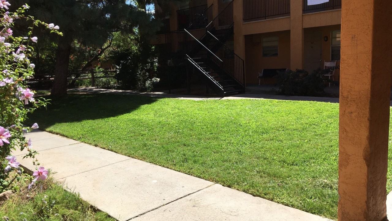 Pine Park Apartments - Photo 4 of 20