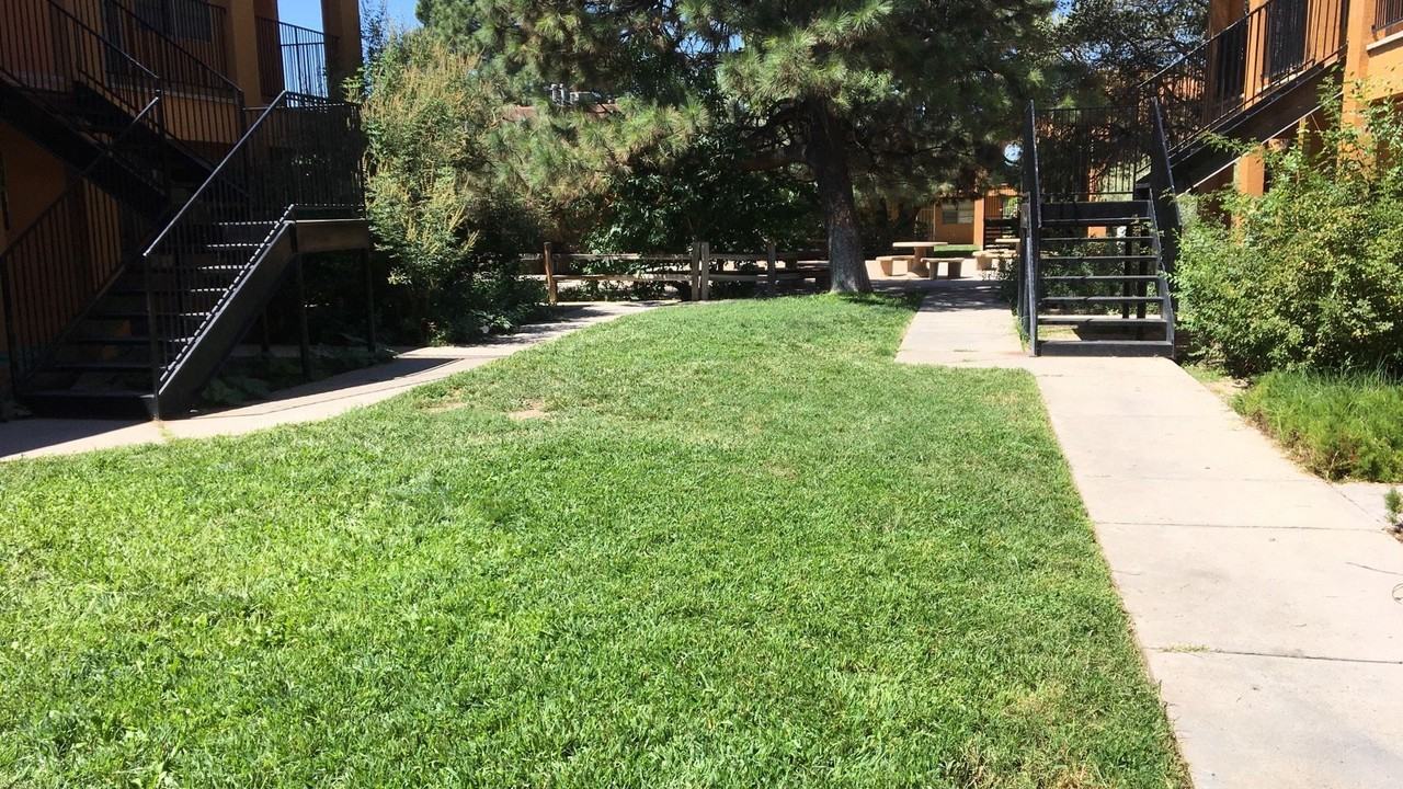 Pine Park Apartments - Photo 5 of 20