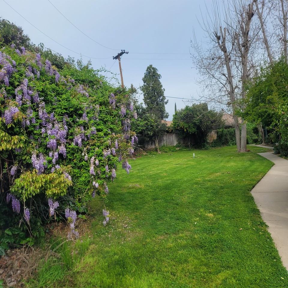 1696 W. Shaw Ave-111 #111 - Photo 4 of 10