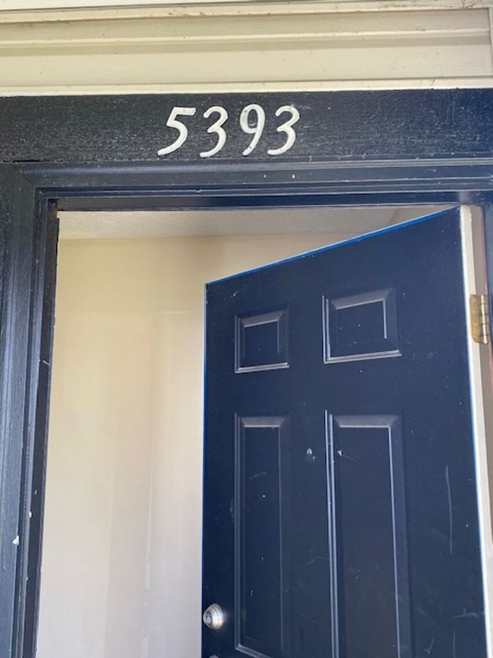 5393 Cypress Chase - Photo 2 of 20